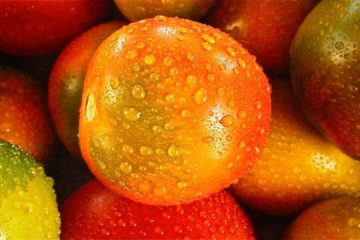 Tomaten